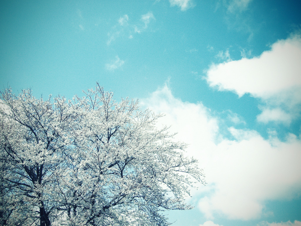 今日の空 2010.04.17