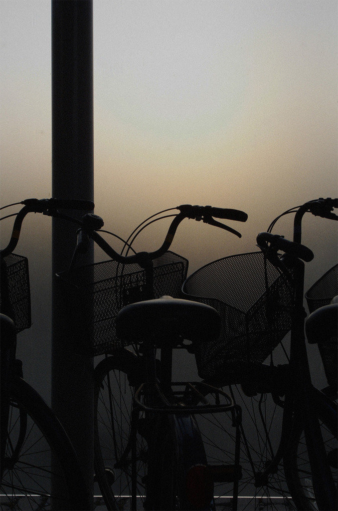 夕方自転車