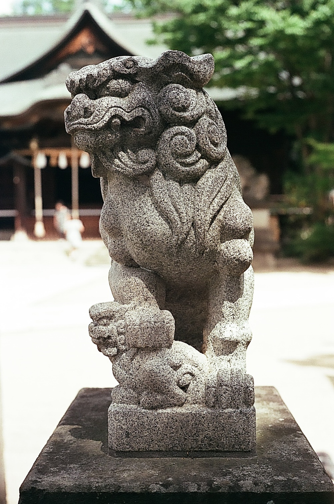 街中散歩3
