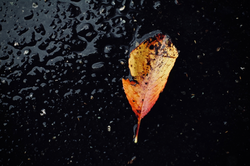 冷たい雨