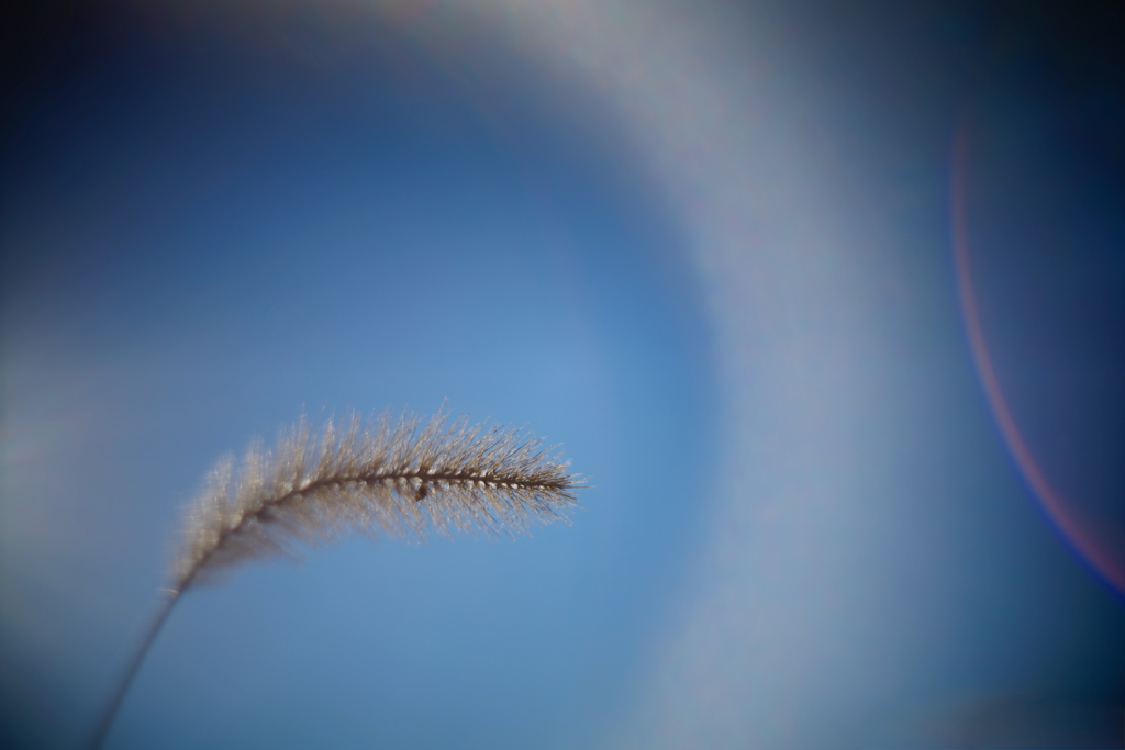 冬・空 2