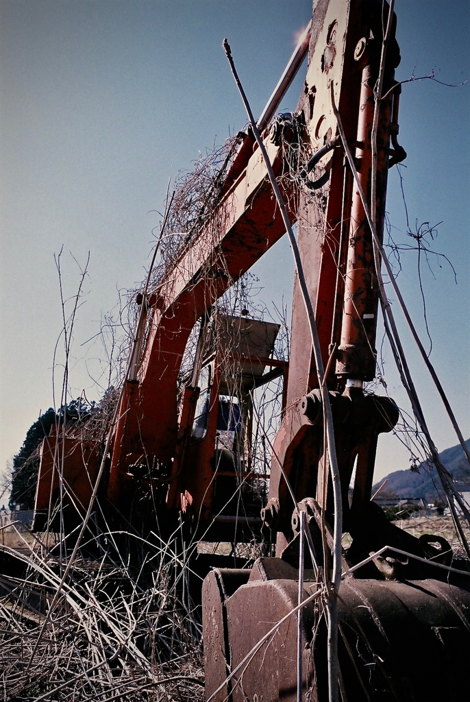 The Abandoned 2
