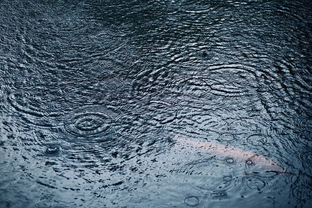 雨音のリズム