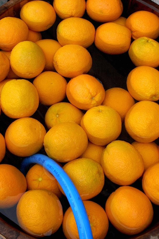 Radiant Orange