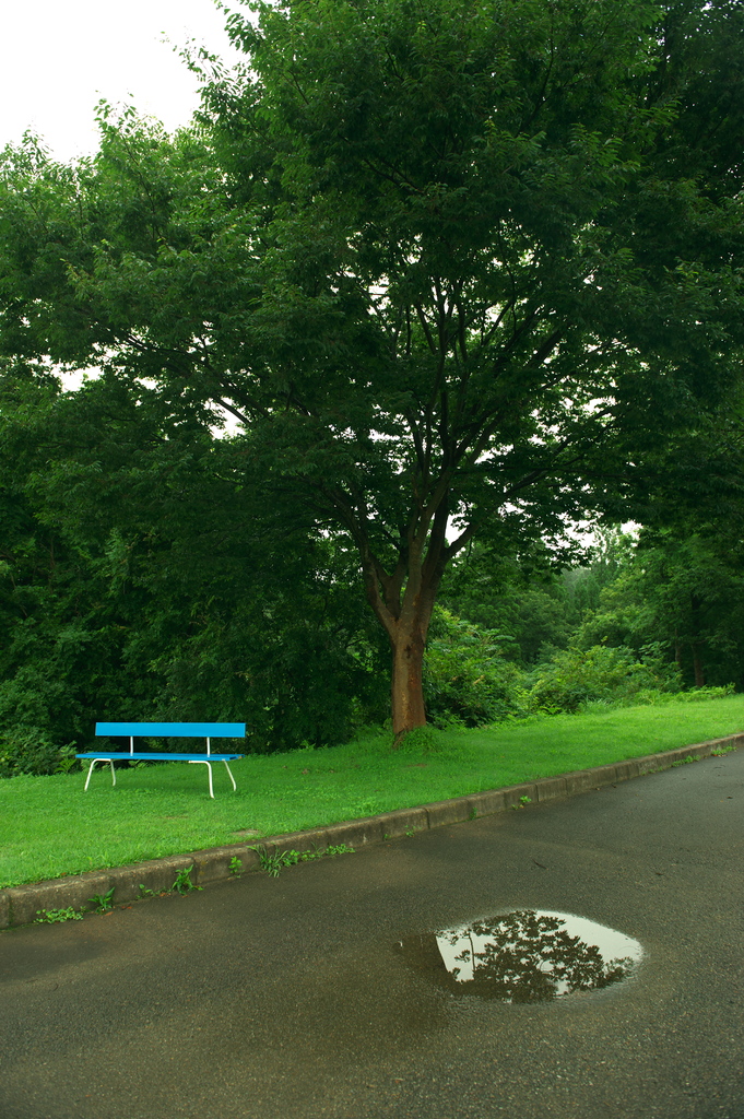 雨上がりのベンチ