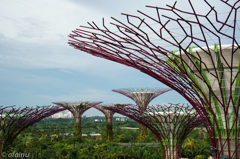 Gardens by the Bay