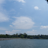 MacRitchie Reservoir