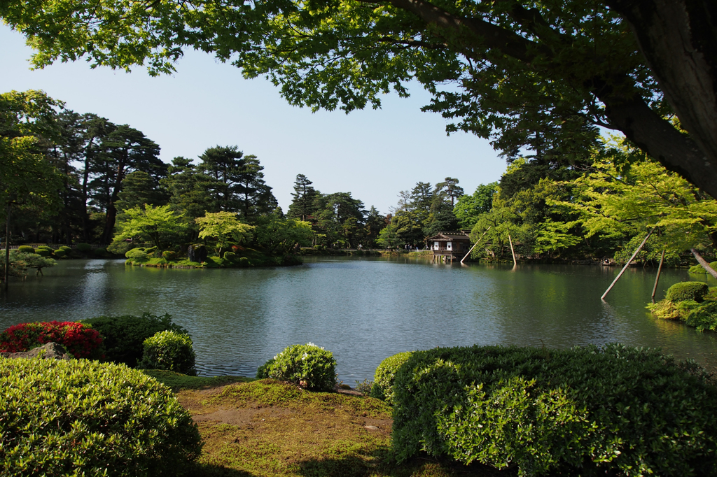 朝の兼六園