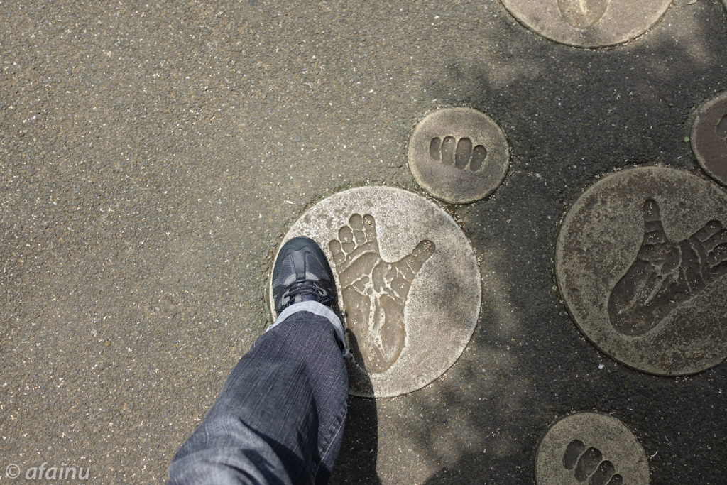 ビッグフット