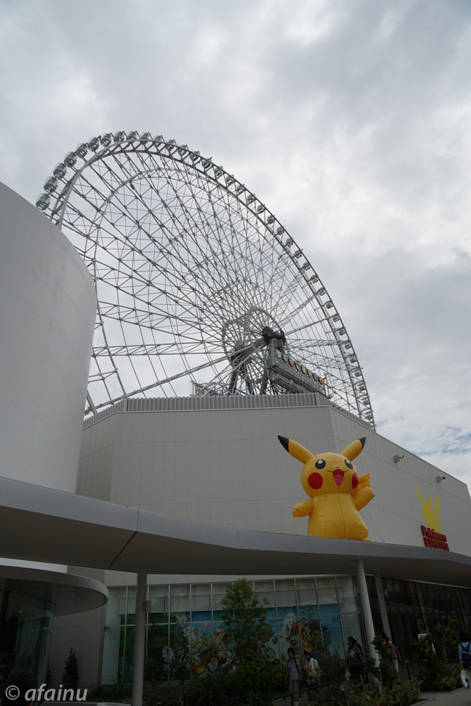 OSAKA WHEELとピカさん