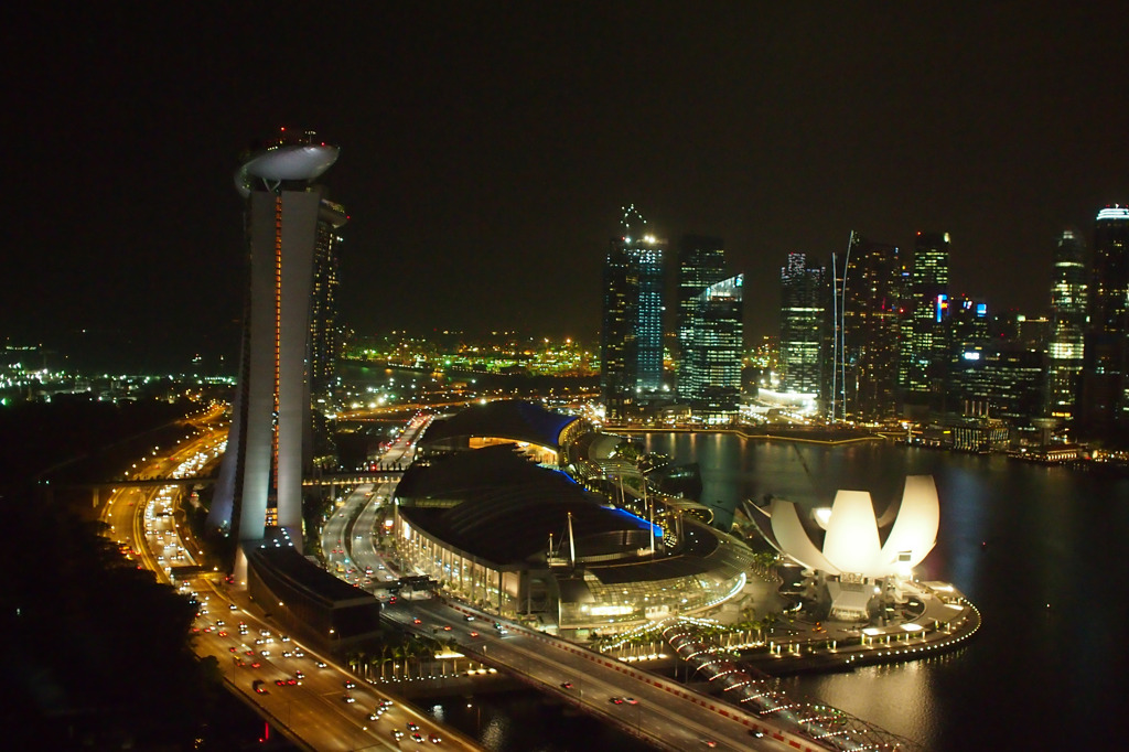 シンガポールの夜景を見下ろす