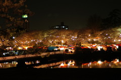 岡崎さくら祭り