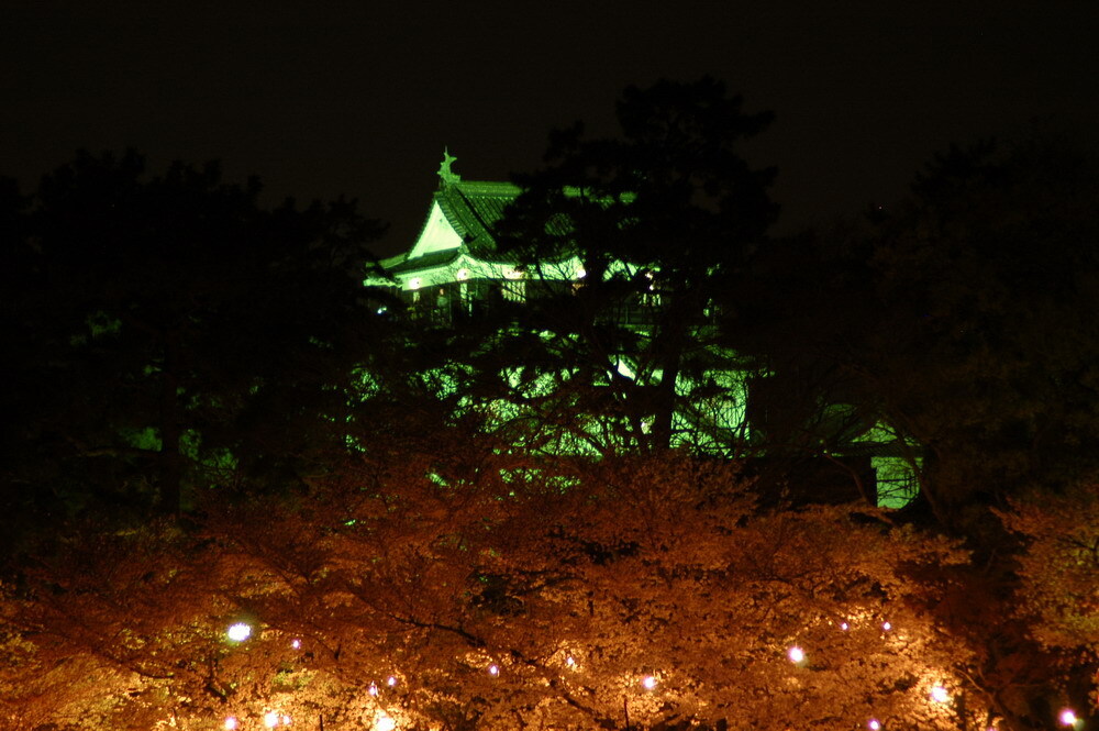 岡崎さくら祭り