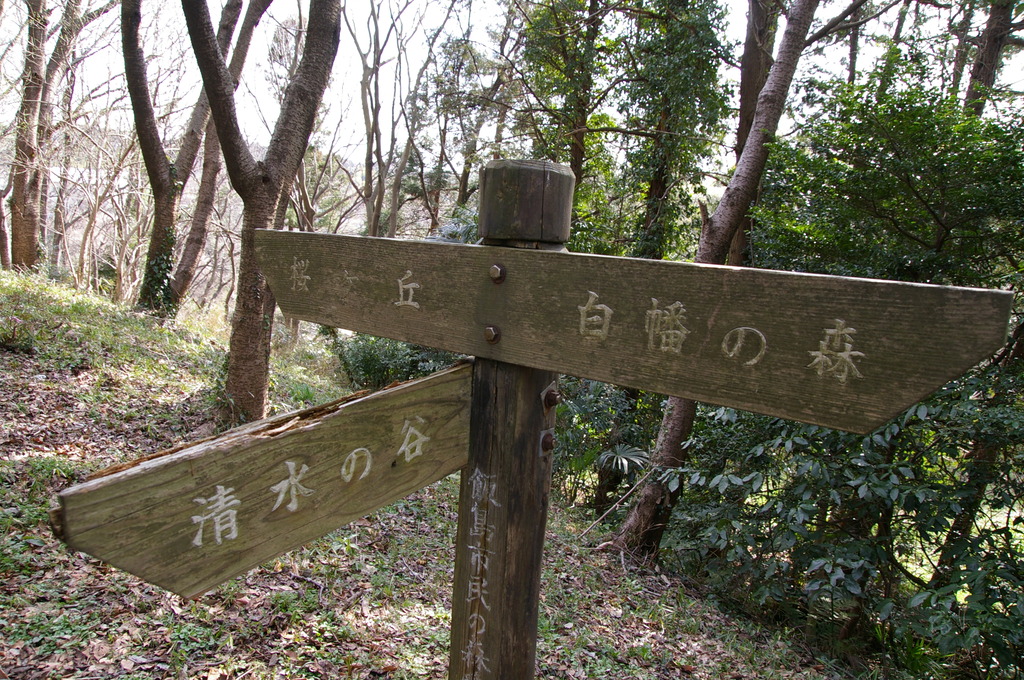 市民の森