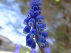 散歩にて