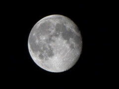 高倍率デジタルカメラ　練習