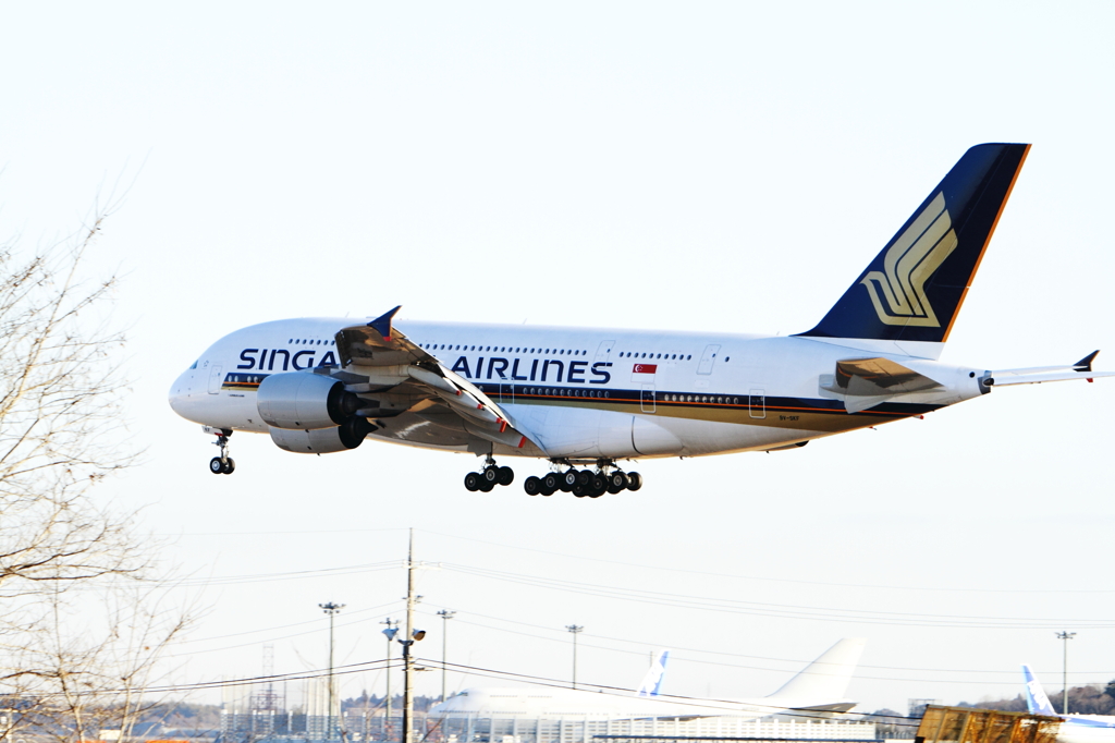 A380 その2