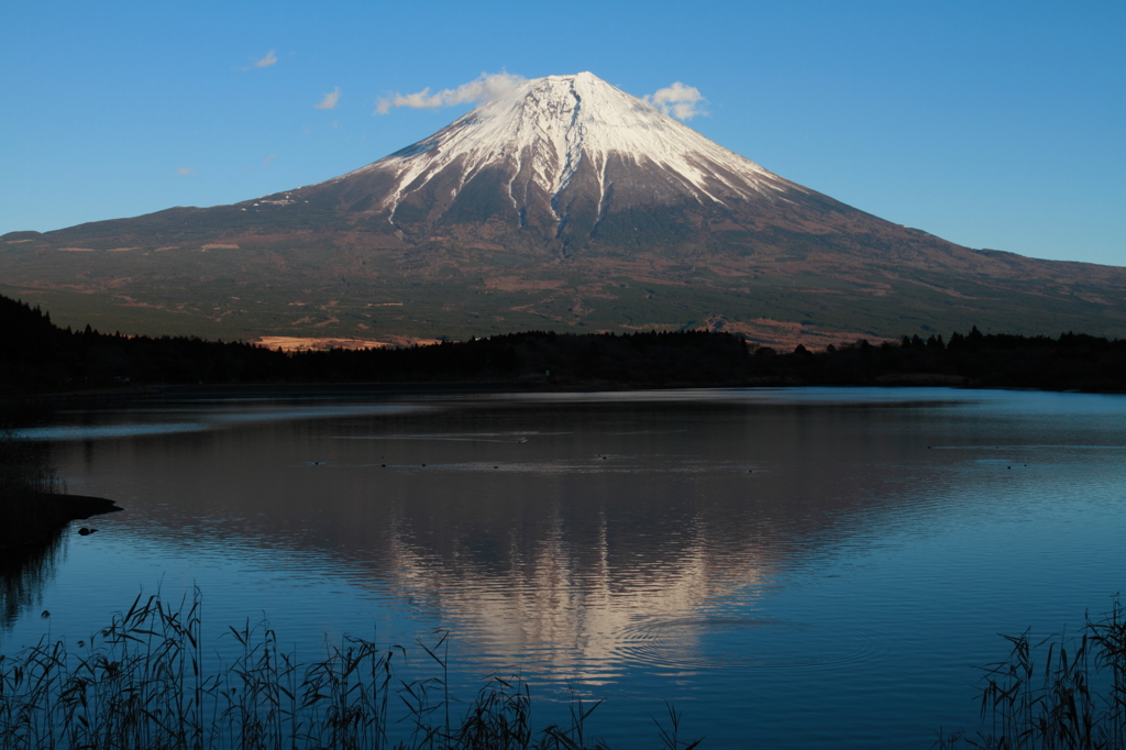 富士山 - 田貫湖