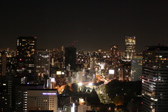 都心の夜景
