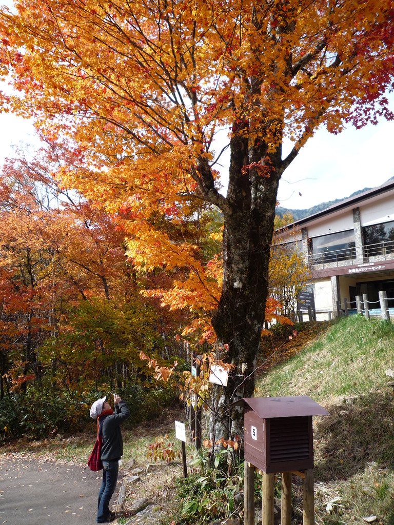 思わず見惚れて