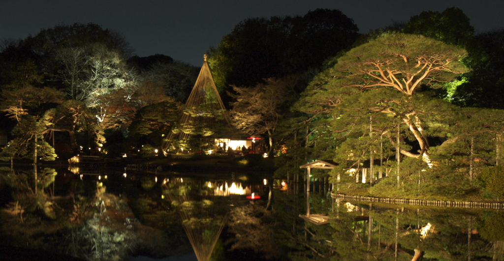 六儀園　2009冬