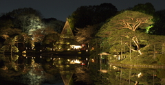 六儀園　2009冬