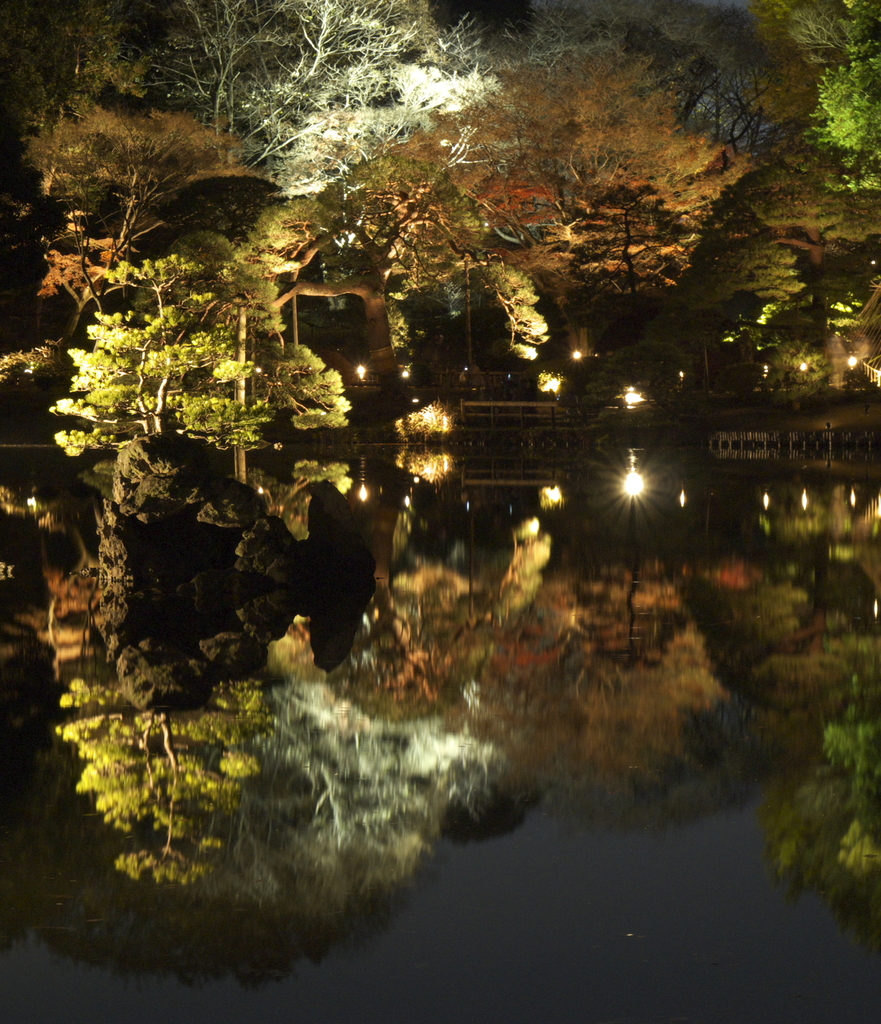 六儀園　2009冬