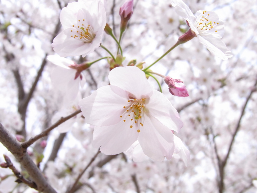 結構お気に入りｗ