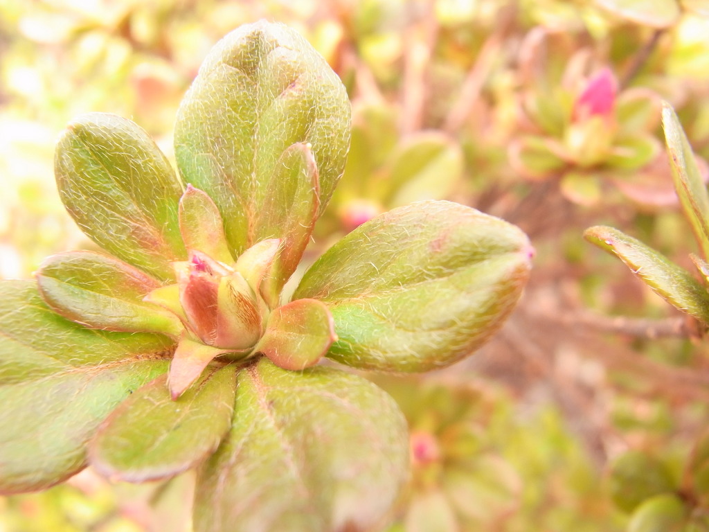 まだまだだねｗ