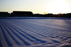 snow wave