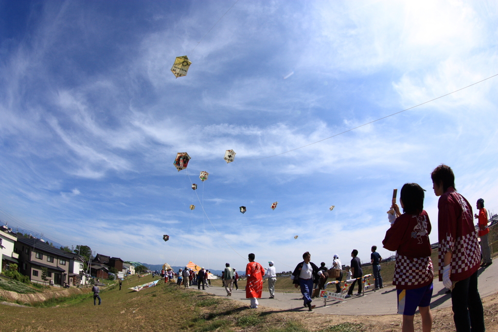 空高く