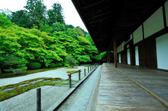 雨の天授庵