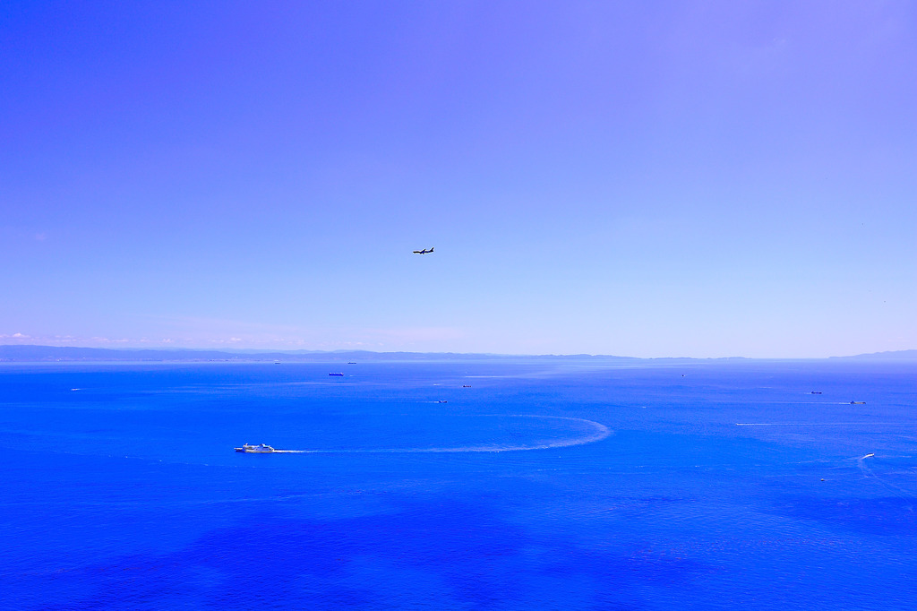 夏の海