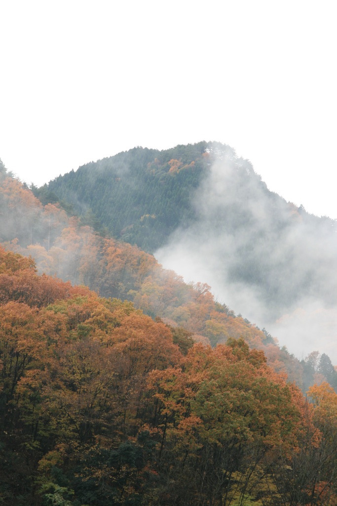 霧晴れて