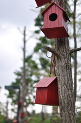 鳥屋