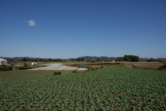 三崎口１