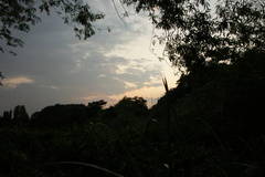 秋の雲４