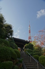 東京タワーのある風景２