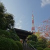 東京タワーのある風景２