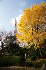 東京タワーのある風景１