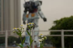 ガンダムの使い方