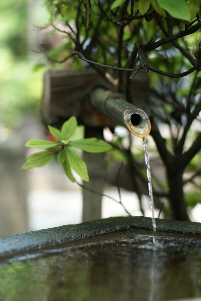 増上寺３