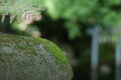 静・愛宕神社