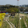 ある牧場の風景