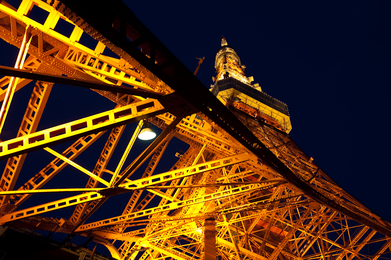 Tokyo Tower 2009