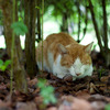 Sleeping on a natural bed