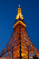 Tokyo Tower 2009