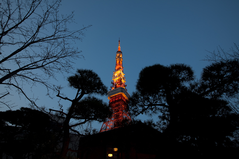 Tokyo Tower 2009