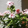 _DSC0057