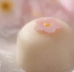 和菓子-1020587